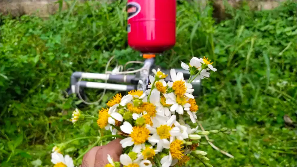 Jasa Pengeboran Sumur Rumah Tangga, Ruko