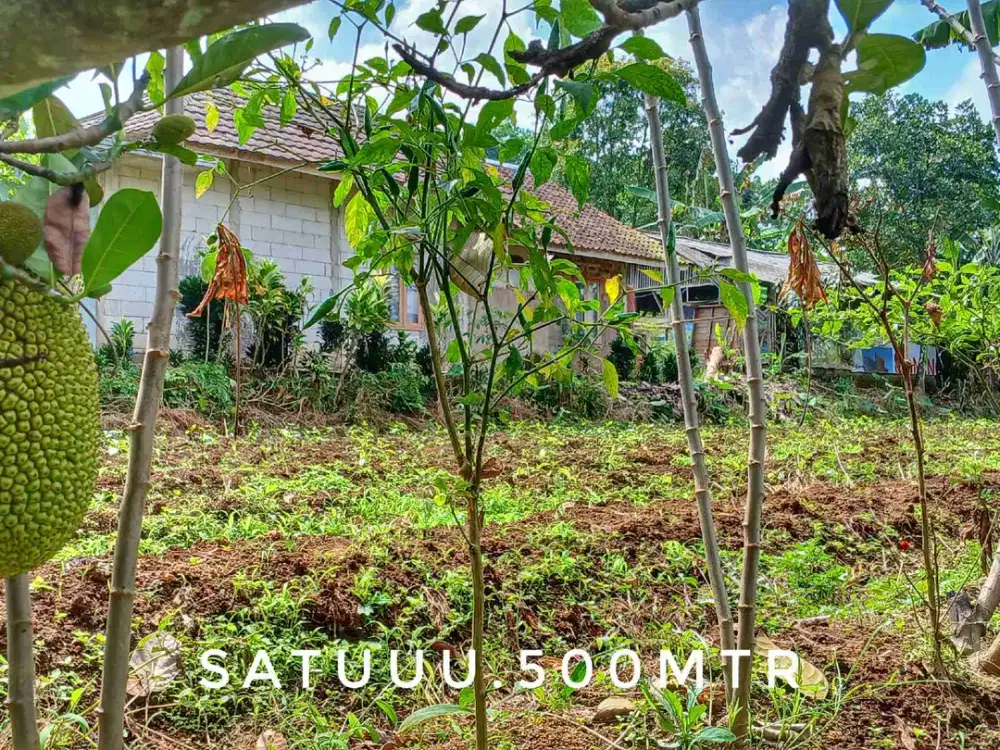 Dijual tanah matang pinggir jalan lokasi bagus murah