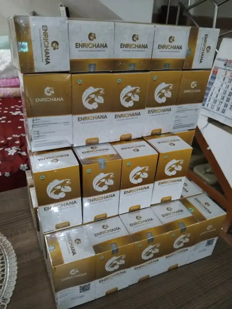 Extrak ikan gabus plus binahong