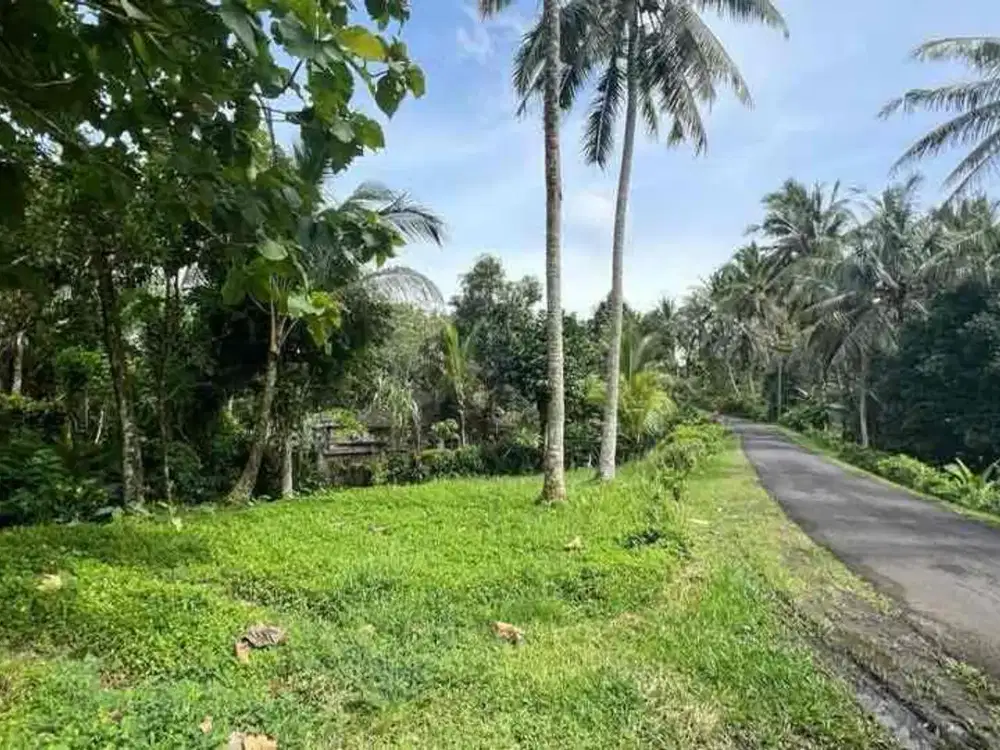 jual tanah manikyang selemadeg Tabanan