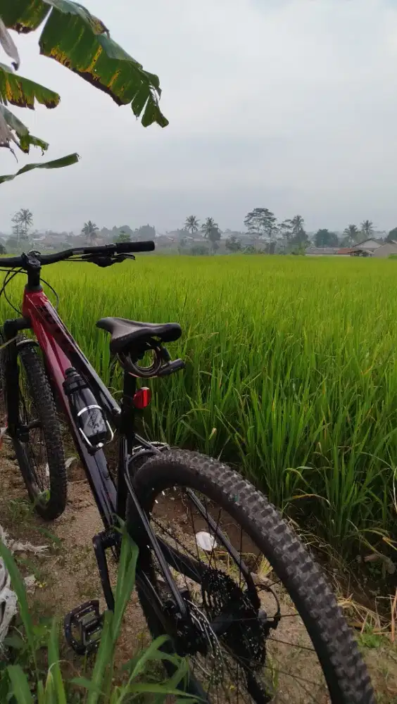 Sepda di Sukabumi Kota - OLX Murah Dengan Harga Terbaik - OLX.co.id