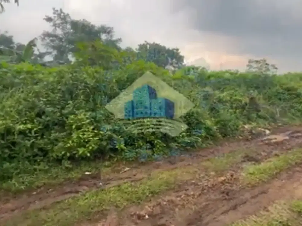 Dijual Tanah Di Desa Dangdang, Cisauk, Tangerang