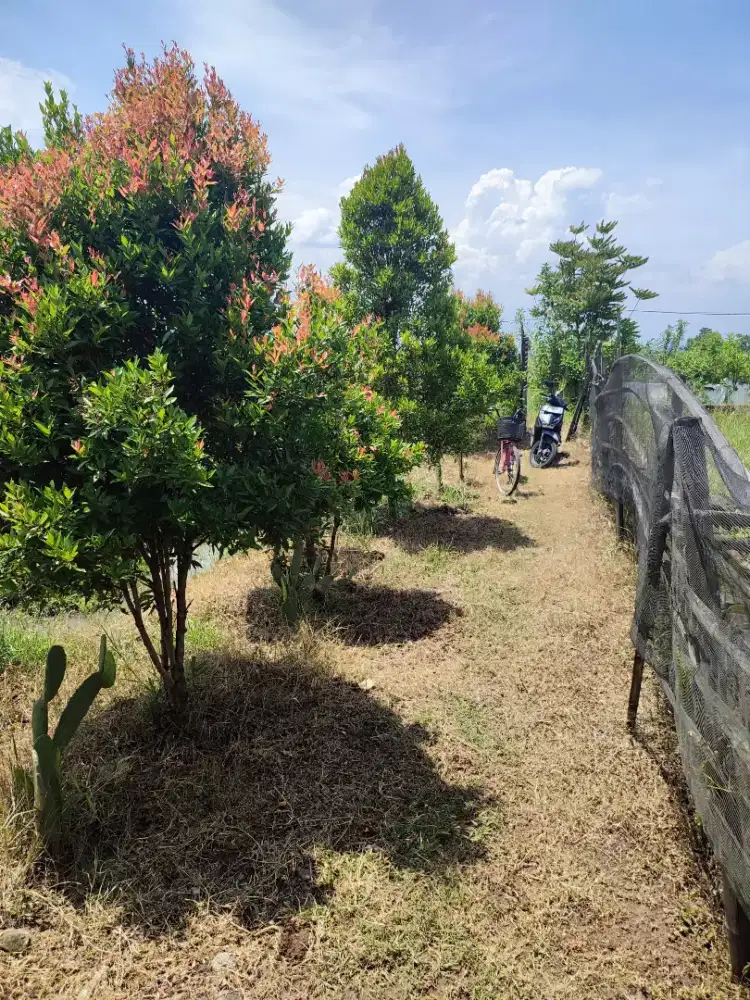 Jual Tanah daerah Rancaekek - Majalaya