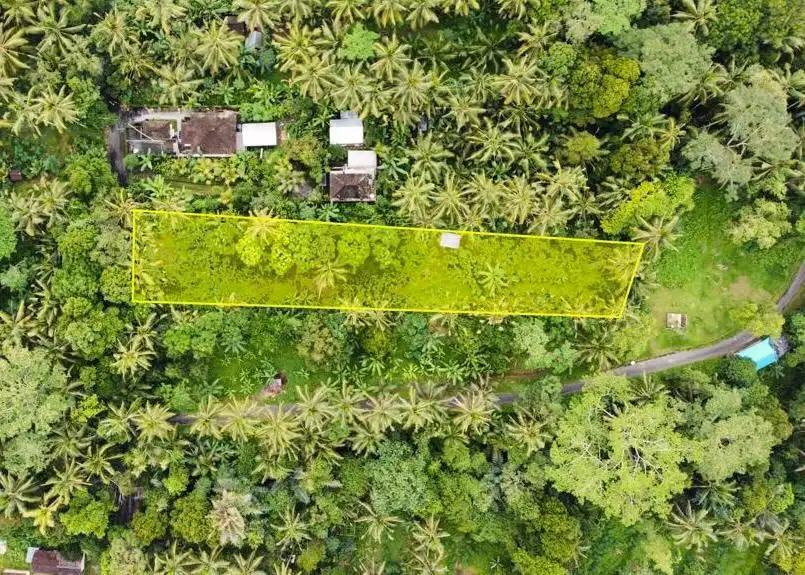 Dijual Tanah Datar Berlokasi Jl Raya Kelusa Payangan Gianyar Bali