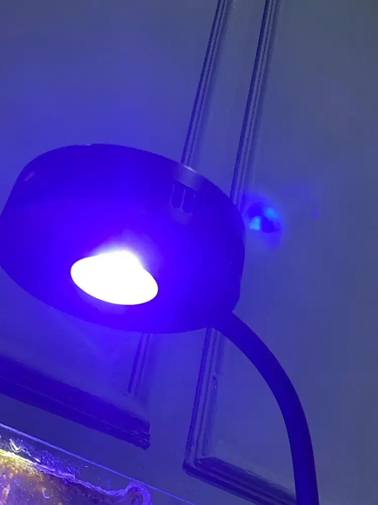 Lampu Spectra Aqua Knight V2 – Terang Maksimal, Aquascape Jadi Hidup!