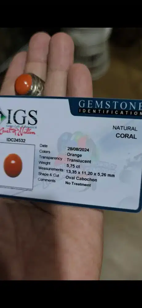 Batu marjan ring perak memo