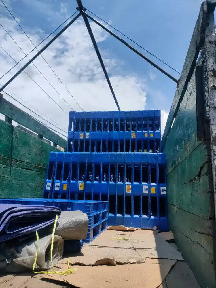 Pallet Plastik Second Bagus Dan Murah