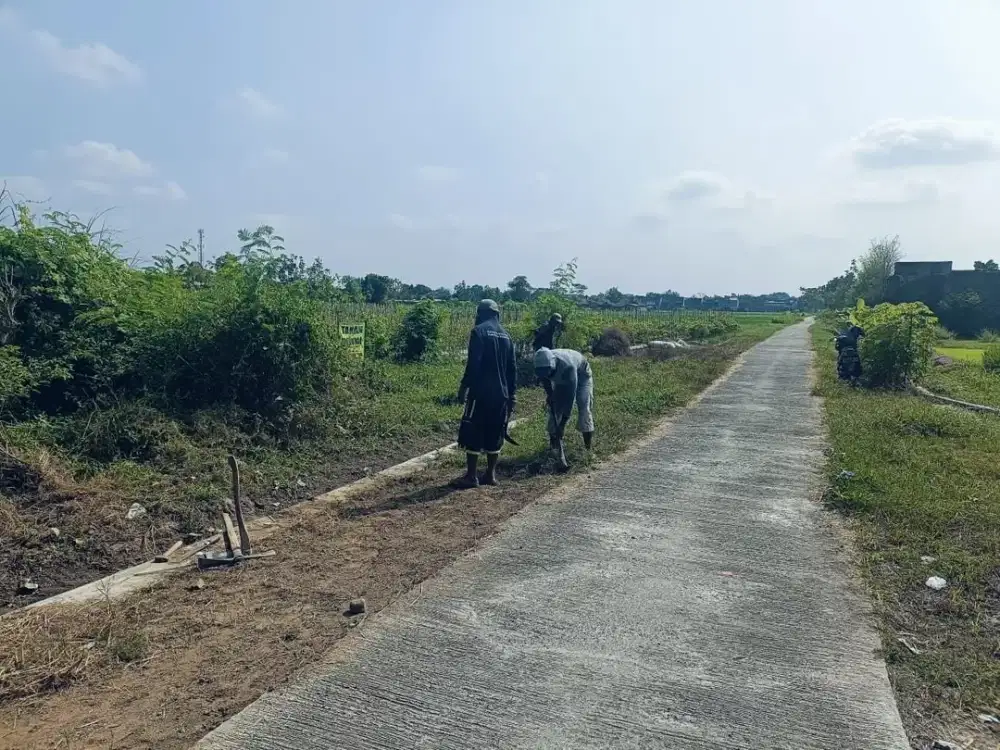 Dijual Tanah Sawah 1Jt-an di Rewulu Godean Dekat Pasar Bibis