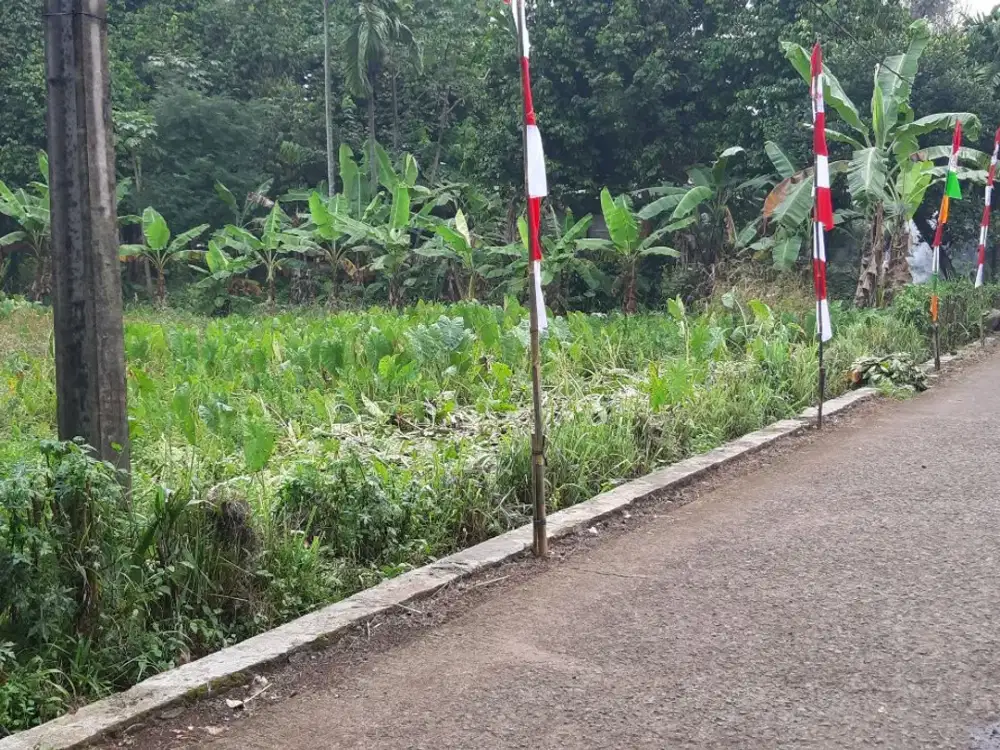 Dijual tanah sangat Strategis di Kemang Bogor Akses Stasiun KA