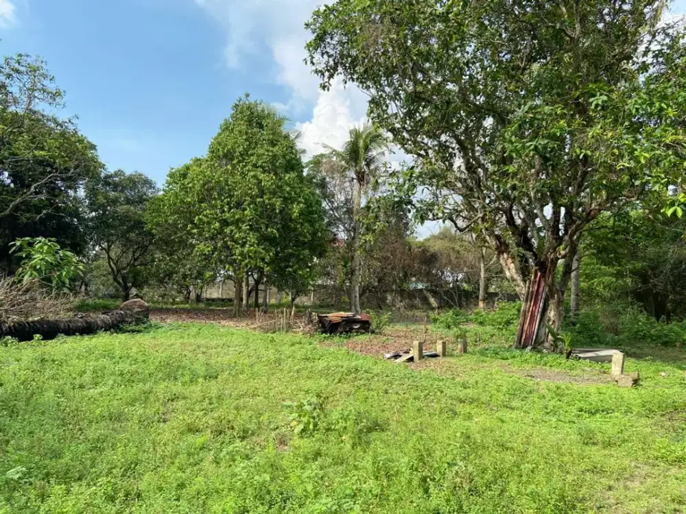 DIJUAL TANAH 4,3 HEKTAR JALAN TANJUNG API API PALEMBANG