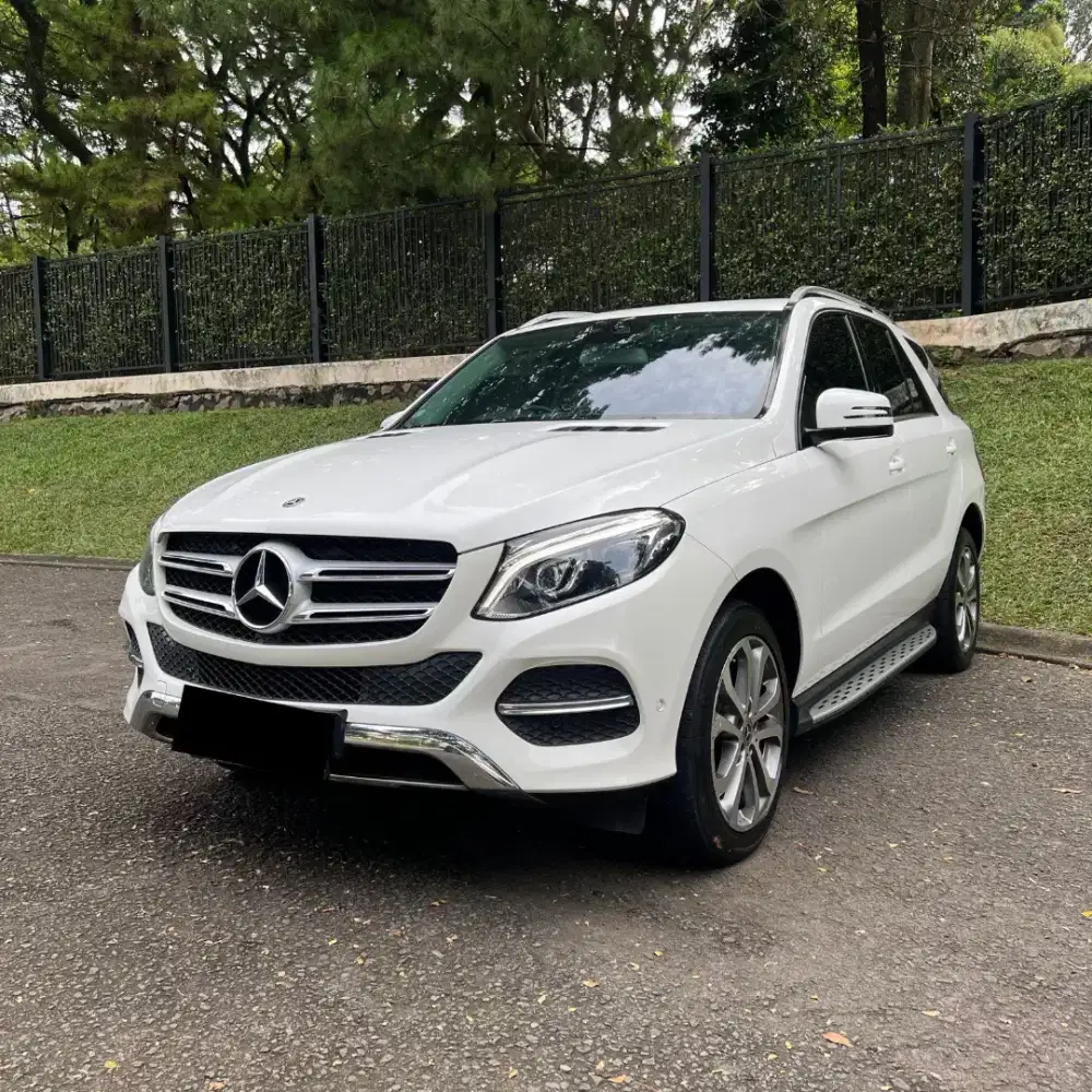 Mercedes Benz GLE 250d 2.2 Thn 2018 KM 50rb!