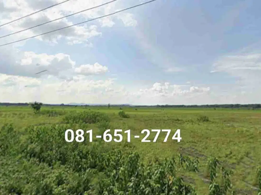 Tanah di Jombang Ploso