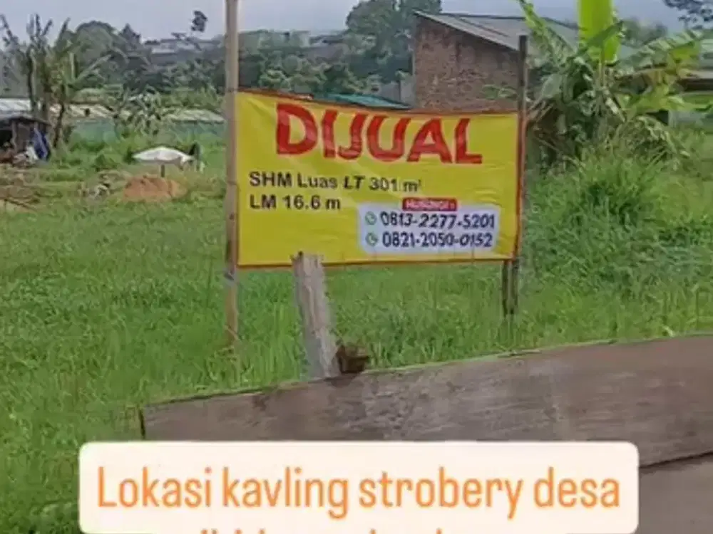 Dijual murah tanah di kavling strawbery, lembah kampung bunga cihideung bandung