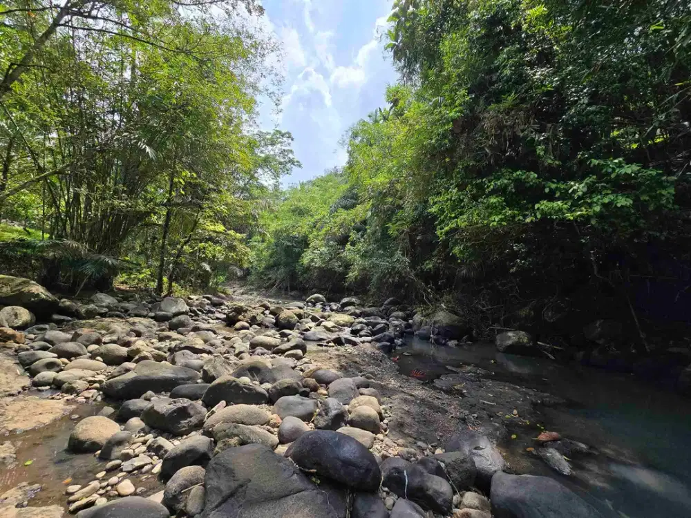 Dijual tanah los sungai bebatuan di tabanan bali