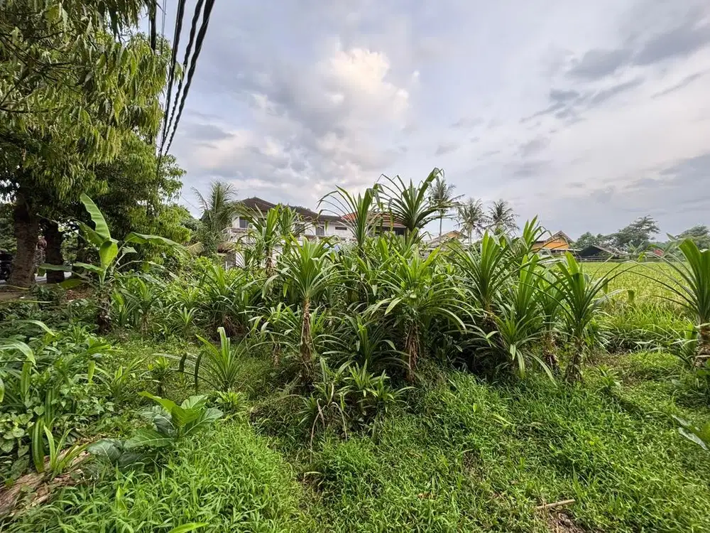 Dijual Tanah Berlokasi Pinggir Jl Utama Kemenuh Gianyar Bali