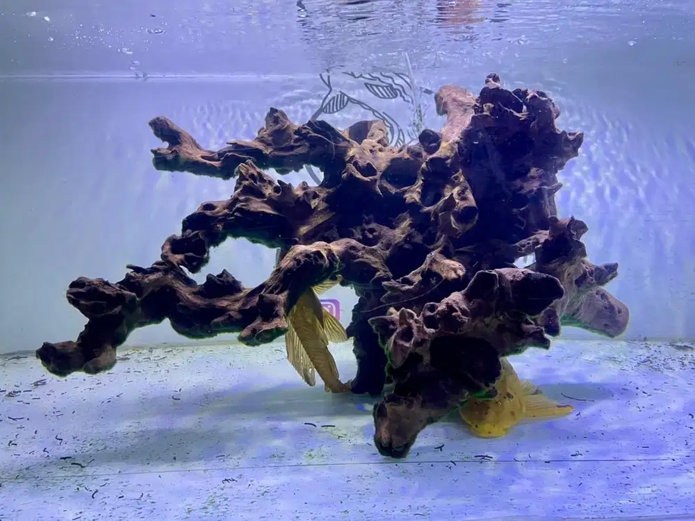 Ornamen Aquarium Kayu Driftwood 2605