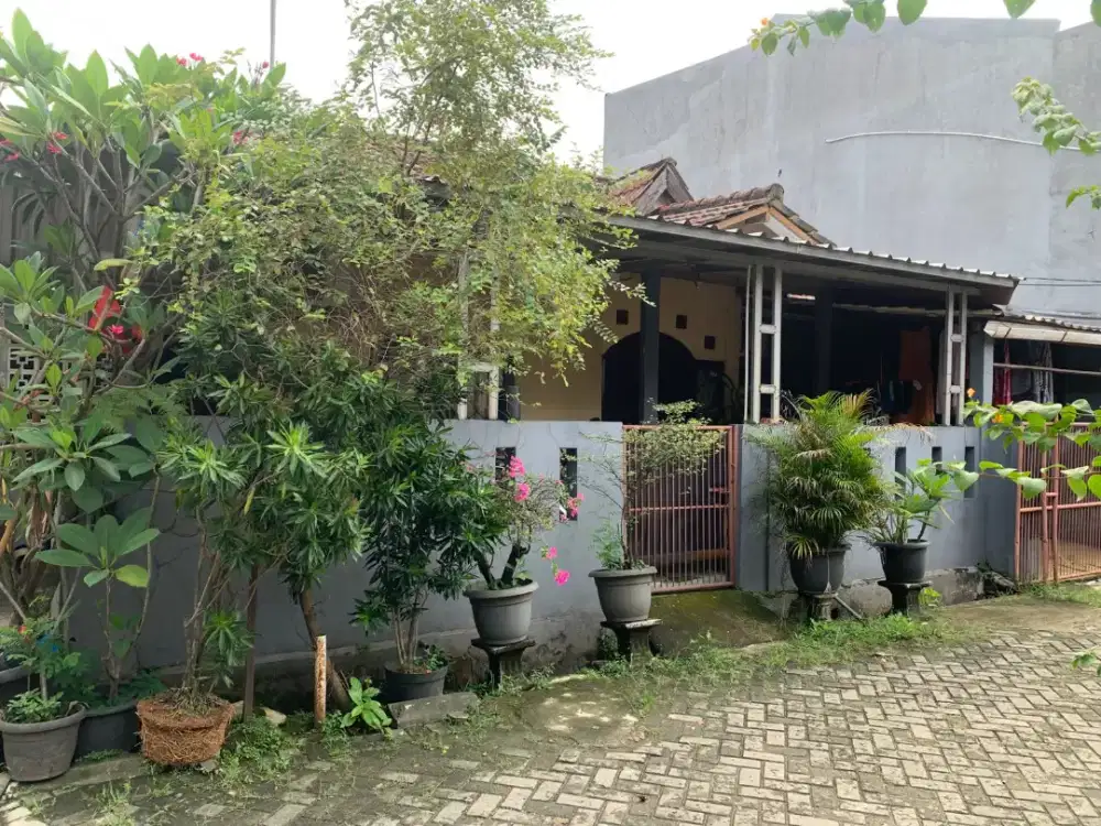 Di jual cepat rumah Hook Tangerang selatan (NEGO)dapat beberapa furnis