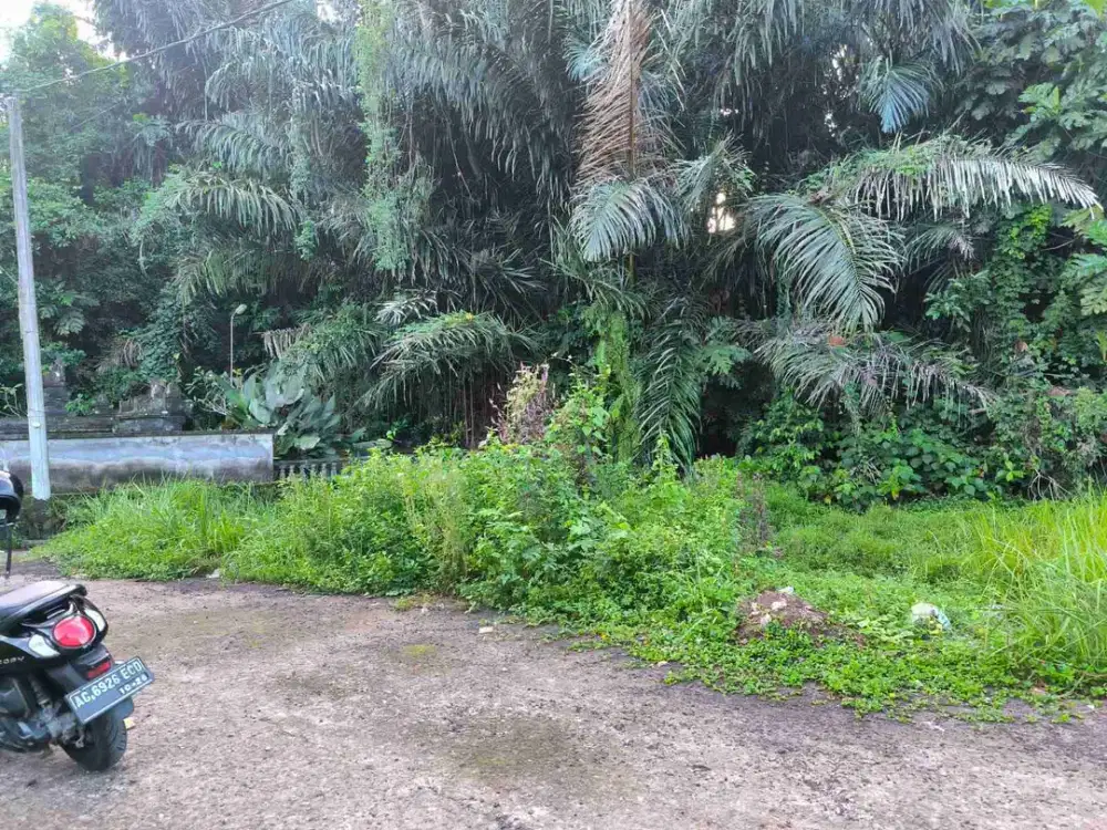 DI JUAL TANAH MURAH DI PUSAT KOTA KEDIRI TABANAN BALI