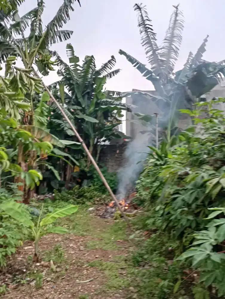 Dicari ART Bersih Bersih Masak Rumah Depok