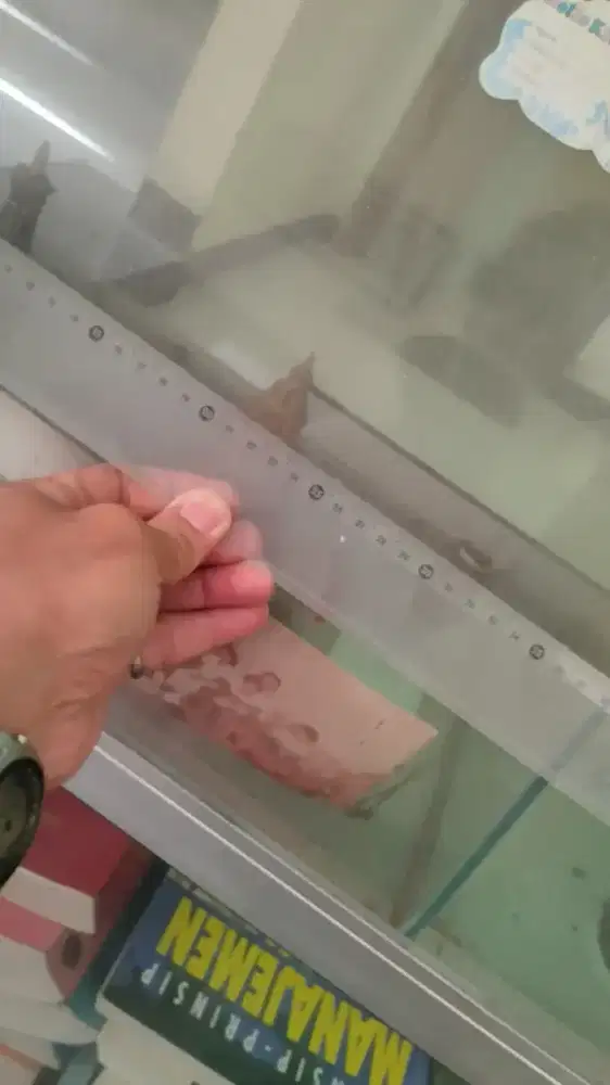 Etalase besar cook tuk usaha Masih Baru panjang 120cm tinggi 1meter