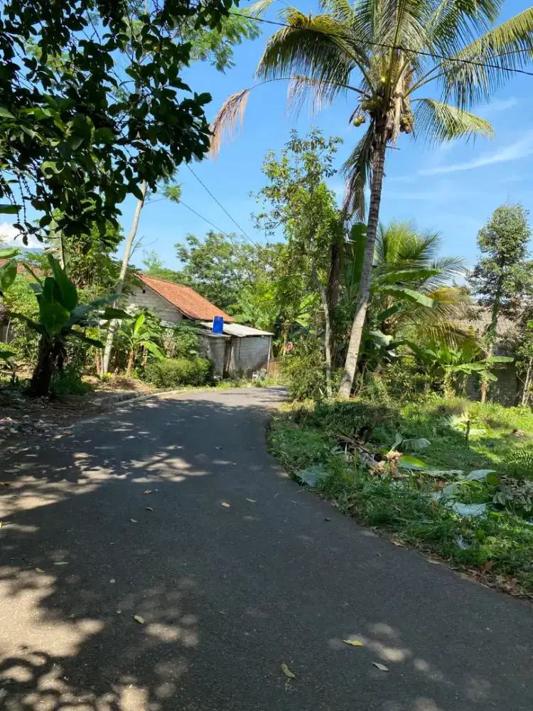 Tanah pekarangan dekat jalan lingkar Selatan kota Salatiga