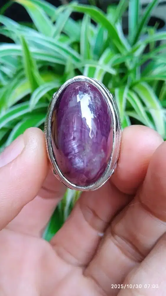 RUBY UNGU JAMBLANG BIG SIZE  NATURAL