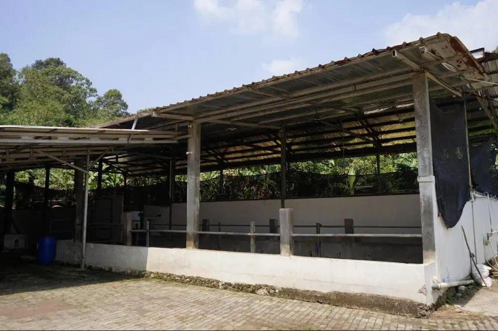 DIJUAL PETERNAKAN DAN RUMAH VILLA