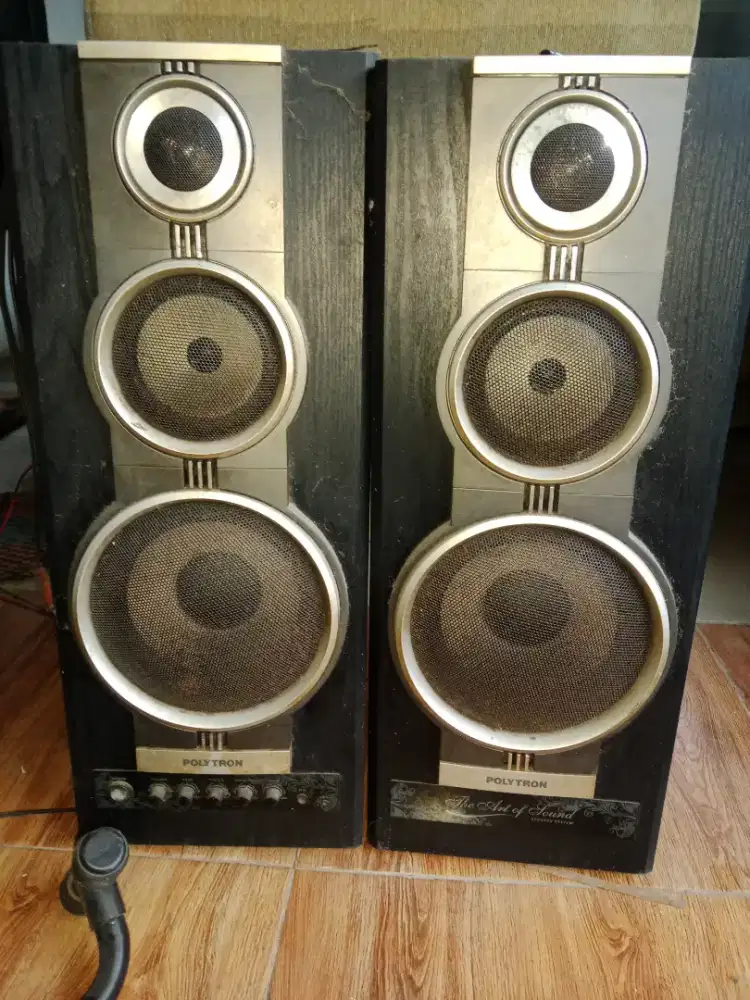 Salon musik polytron