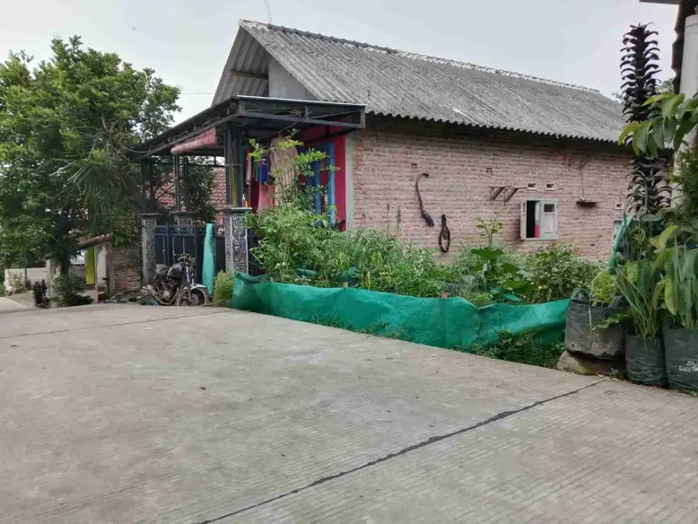 TANAH PACET DEKAT KAMPUS DAN WISATA