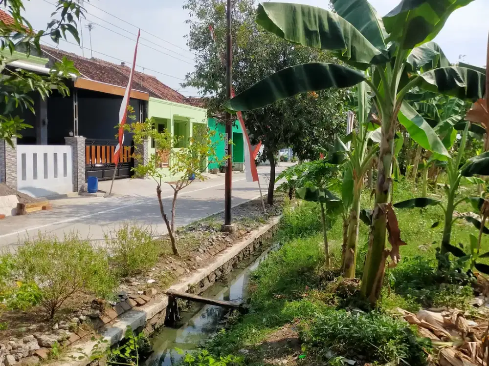 Dipasarkan 3 Tanah Kavling