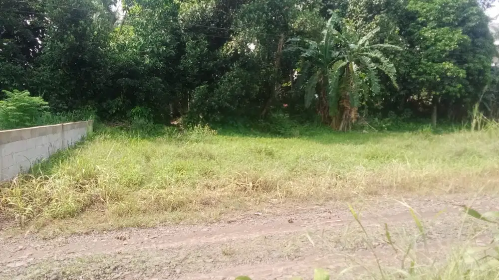 JUAL TANAH MURAH (BU)