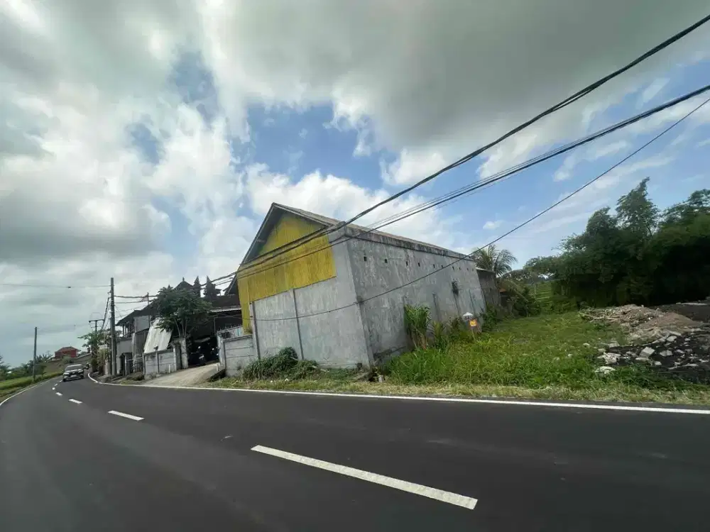Tanah Langsung Pemilik di Mengwi – Lokasi Prospek Tinggi