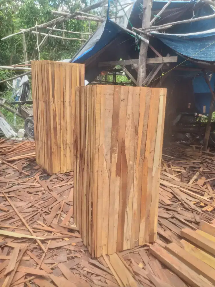 Sfictank kotak wc full ulin