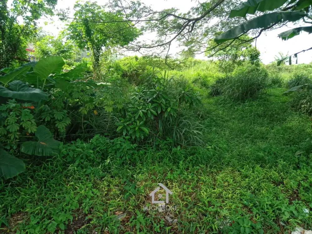 DISEWA LAHAN KOSONG – TIGARAKSA, TANGERANG