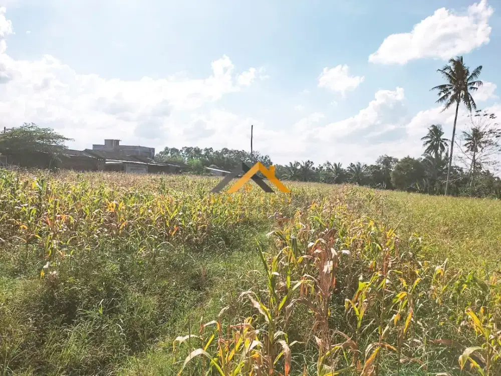 Jual Tanah Kosong - Tuntungan II Jalan Danamon Simp Jl. Glugur Rimbun