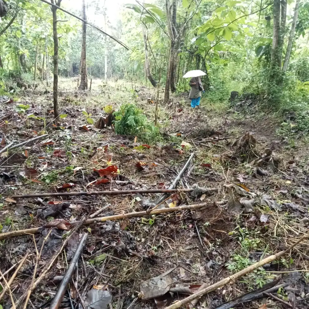 Dijual Tanah Pekarangan dekat Bandara NYIA