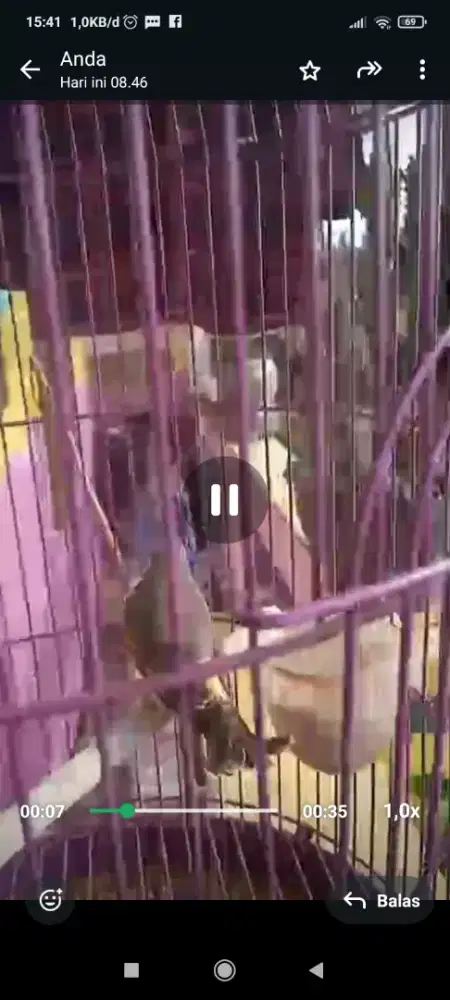 Blackmoz siap dinikmati