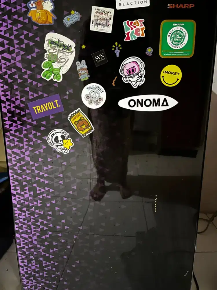 Kulkas Sharp 1 Pintu SJ-X165MG-CB