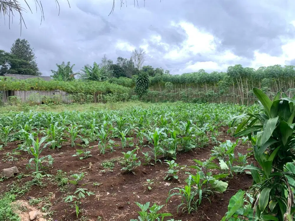 TANAH KAVLING 200M, SHM, SIAP BANGUN, STRATEGIS