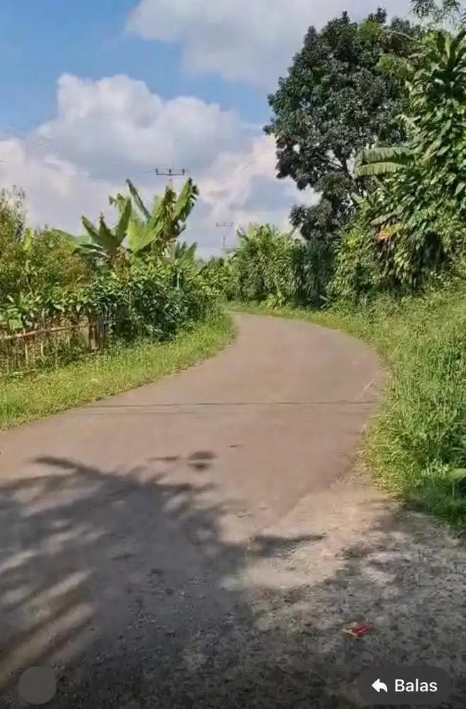 Lokasi d jual d bwah NJOP buat ternak / wista jga kebun Buah buahan