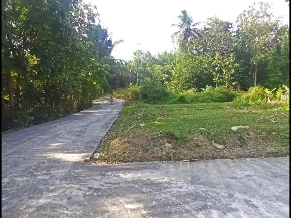 Jl. Gotakan Dijual Tanah Jogja SHM Lokasi Kulon Progo