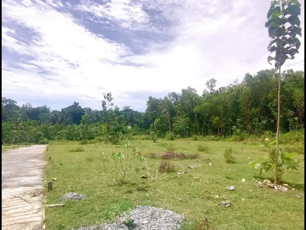 Jl. Gotakan Panjatan Jual Tanah Jogja SHM Untuk Investasi