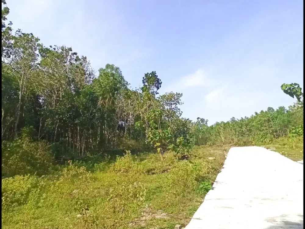 Dekat Polres Kulon Progo, Tanah Kulon Progo Jogja