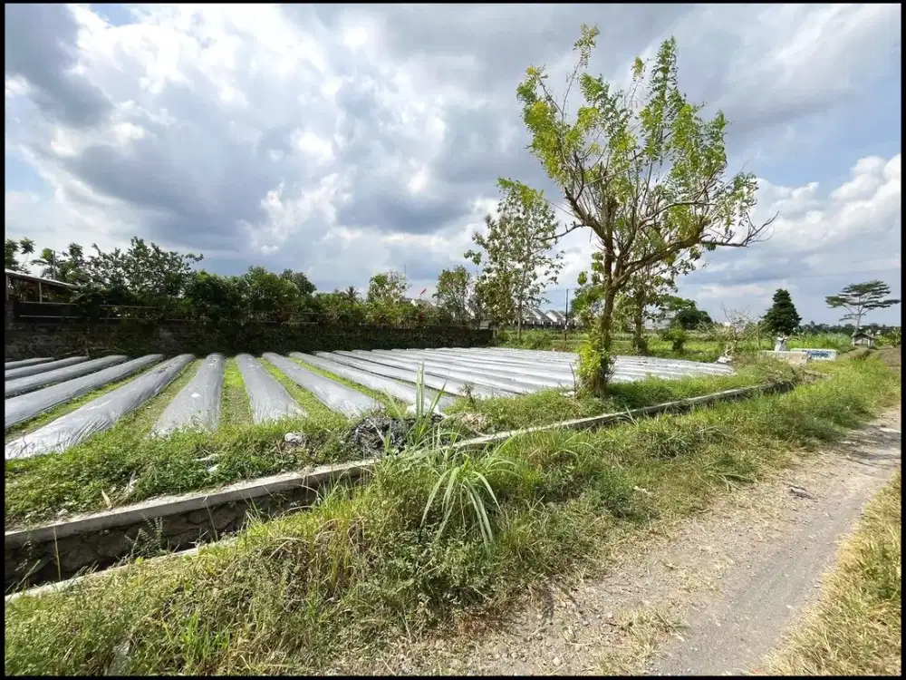 150 Meter Lapangan Klidon Tanah Dijual Jogja Jl. Besi Jangkang