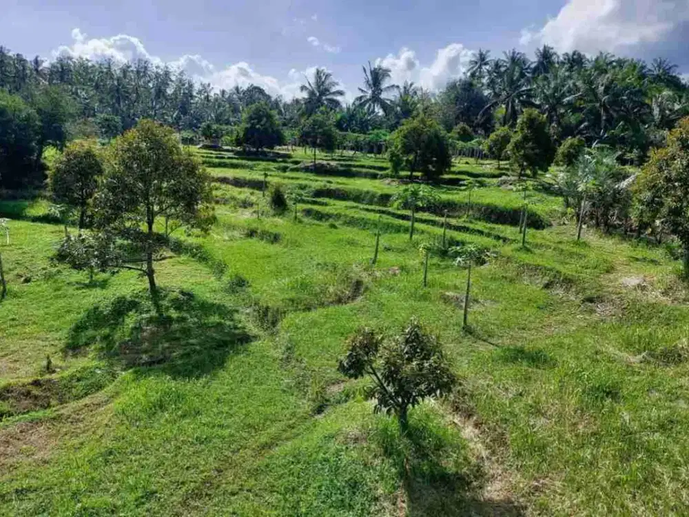 dijual tanah kebun durian view sangat bagus dan tempat strategis
