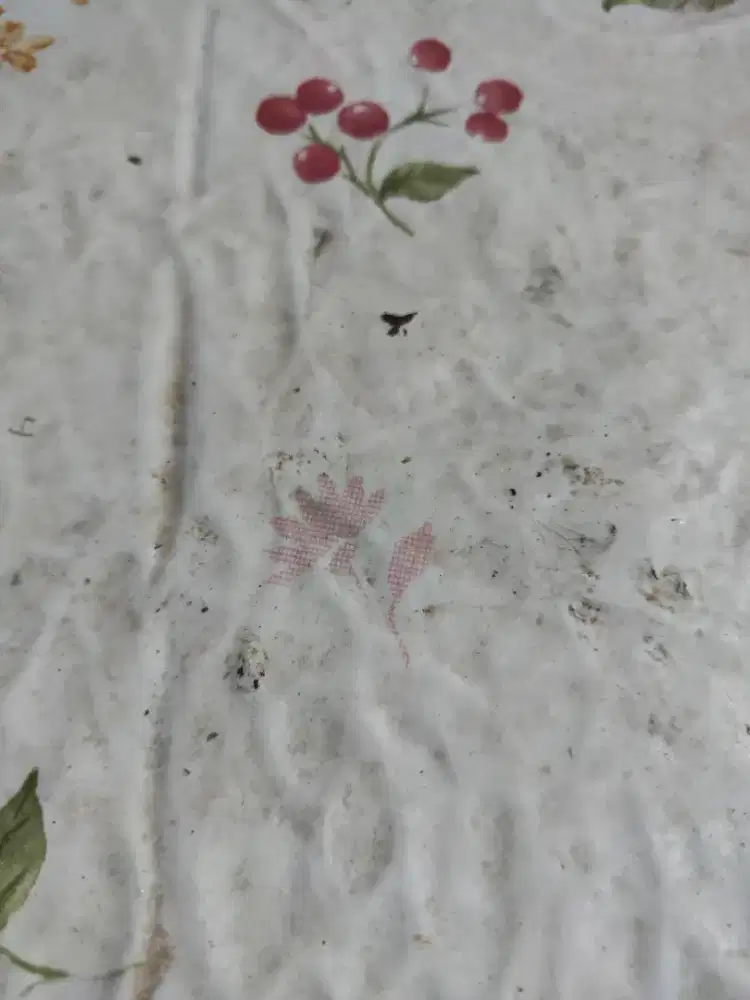 Joki program AI deep learning.. suara.. citra.. ramalan