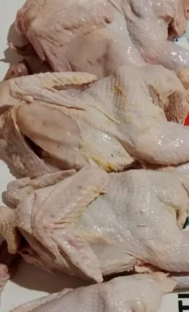 Karkas Ayam Super (Potong 6)