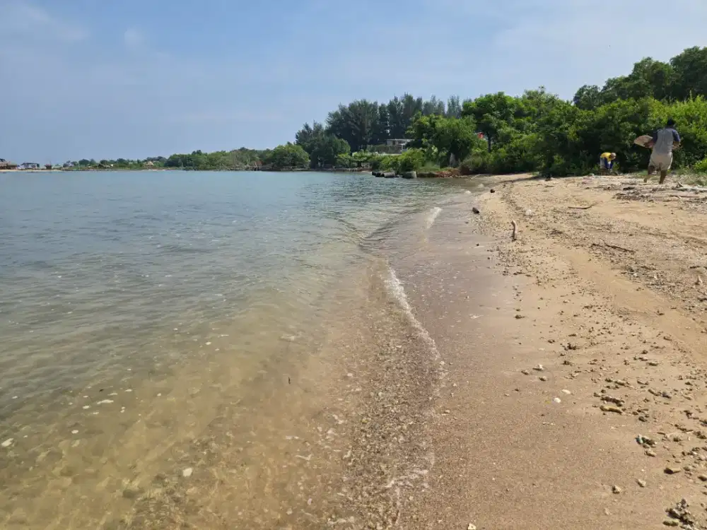 Dijual tanah lokasi dalam pantai bandengan