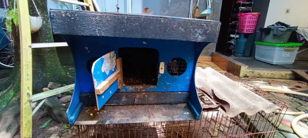 Gupon merpati burung dara