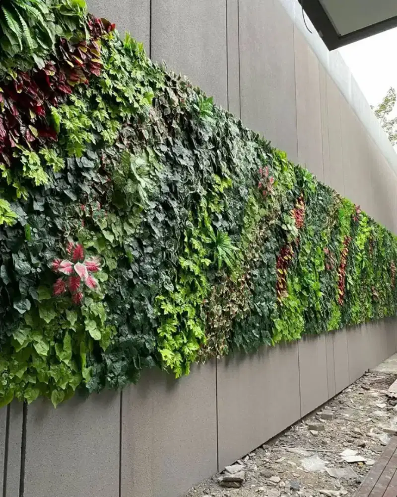 Taman dinding ventrikal garden sentris